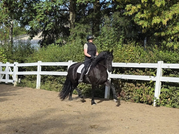 3j fr Stut Gosse x xHessel 24 09 26 1 600