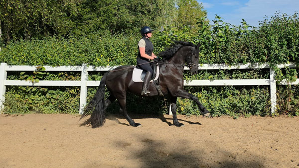 3j fr Stut Gosse x xHessel 24 09 26 4 600