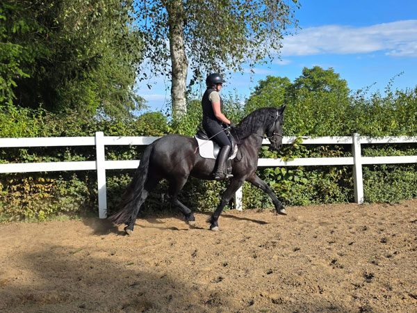 3j fr Stut Gosse x xHessel 24 09 26 5 600