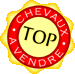 logo top chevaux
